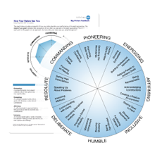 The Everything DiSC 363 for Leaders Learning Experience